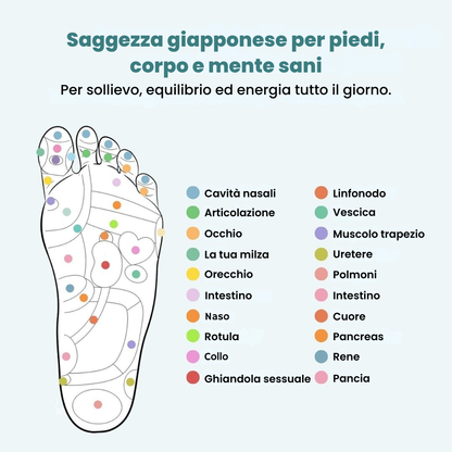 RinovaX™ – Solette Magnetiche Antidolorifiche